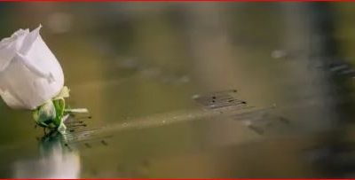 L’Archivio ricorda la sua archivista