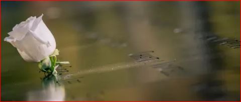 L’Archivio ricorda la sua archivista